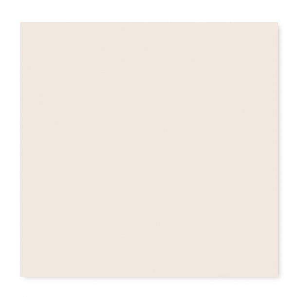 W02. Ivory White  