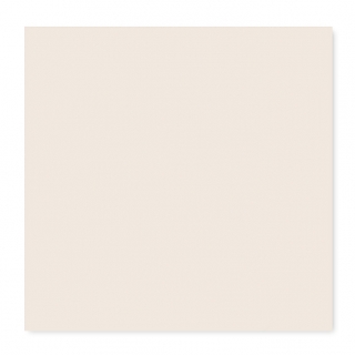 W02. Ivory White  